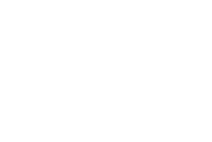 Match Doctors by Lingoda logo in white.
